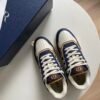 dior b27 low top blauw en wit