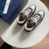 dior b27 low top blauw en wit