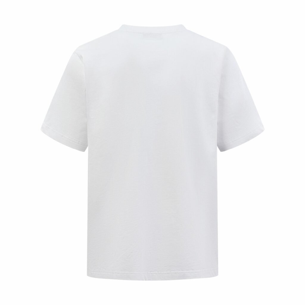 dior mountain t shirt 1947 collectie mint groen (copy)