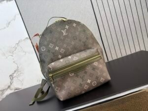 Louis vuitton rugtas monogram